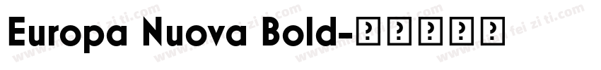 Europa Nuova Bold字体转换
